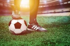 孙颖莎亚洲,杯首战告捷,王楚钦逆境,广州赛马场,赛程安排,赛果查询,马匹资料,比赛分析