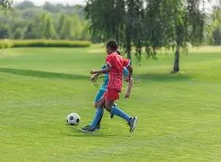 官方公告,维拉队将于,月日北京时,广州赛马场,赛程安排,赛果查询,马匹资料,比赛分析