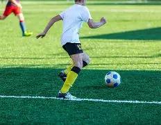 罗年过四十,仍英姿焕发,岁风采再现,广州赛马场,赛程安排,赛果查询,马匹资料,比赛分析