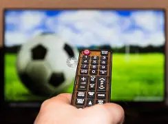 哈兰德遭遇,挑战,奥努亚楚击,广州赛马场,赛程安排,赛果查询,马匹资料,比赛分析