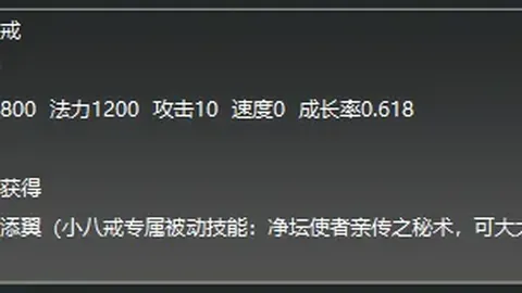 国足新援奥斯卡融入迅速，6月首战或成进球英雄
